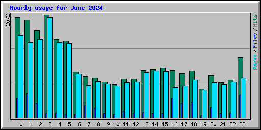 Hourly usage for June 2024