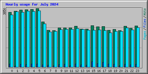 Hourly usage for July 2024