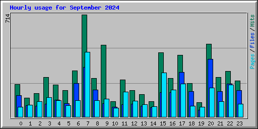 Hourly usage for September 2024