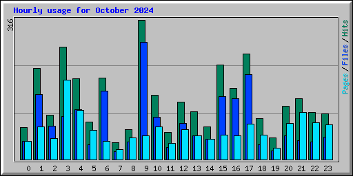 Hourly usage for October 2024