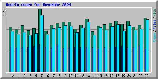 Hourly usage for November 2024