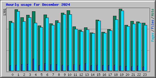 Hourly usage for December 2024