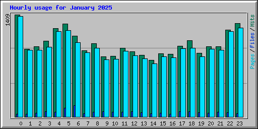 Hourly usage for January 2025