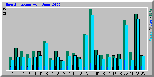 Hourly usage for June 2025
