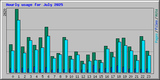 Hourly usage for July 2025