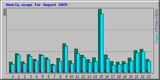 Hourly usage for August 2025