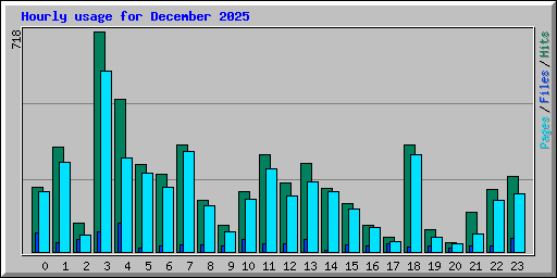 Hourly usage for December 2025
