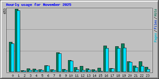 Hourly usage for November 2025