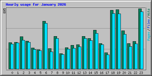 Hourly usage for January 2026
