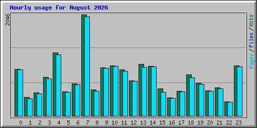 Hourly usage for August 2026