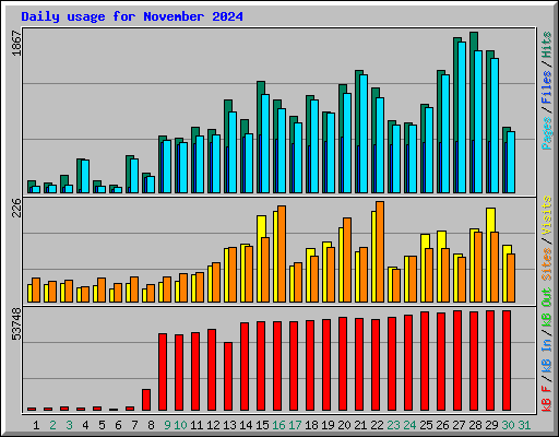 Daily usage for November 2024