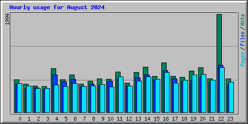 Hourly usage for August 2024