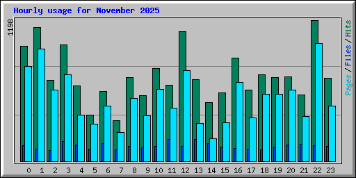 Hourly usage for November 2025