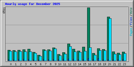 Hourly usage for December 2025