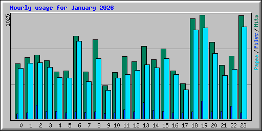 Hourly usage for January 2026