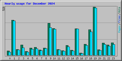 Hourly usage for December 2024