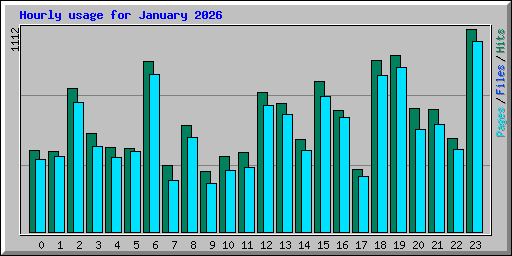Hourly usage for January 2026